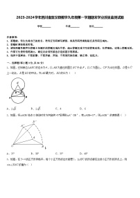 2023-2024学年四川省宣汉县数学九年级第一学期期末学业质量监测试题含答案