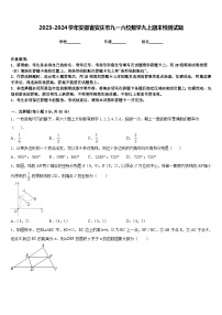 2023-2024学年安徽省安庆市九一六校数学九上期末检测试题含答案