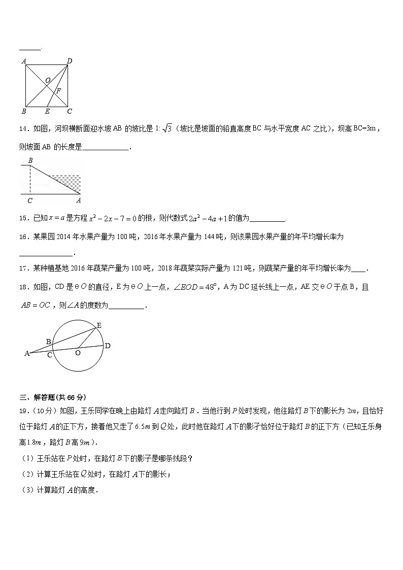 2023-2024学年安徽省池州市石台县数学九年级第一学期期末达标检测模拟试题含答案03