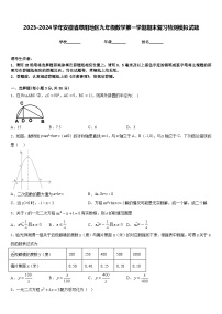 2023-2024学年安徽省阜阳地区九年级数学第一学期期末复习检测模拟试题含答案