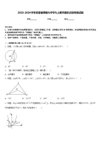 2023-2024学年安徽省阜阳九中学九上数学期末达标检测试题含答案