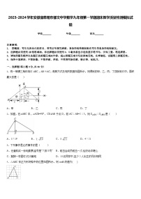 2023-2024学年安徽省阜阳市郁文中学数学九年级第一学期期末教学质量检测模拟试题含答案