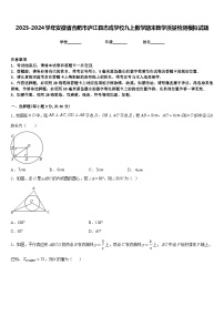 2023-2024学年安徽省合肥市庐江县志成学校九上数学期末教学质量检测模拟试题含答案