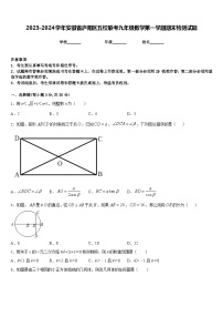 2023-2024学年安徽省庐阳区五校联考九年级数学第一学期期末检测试题含答案