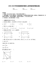 2023-2024学年安徽省桐城市黄岗九上数学期末联考模拟试题含答案