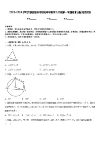 2023-2024学年安徽省宿州市时村中学数学九年级第一学期期末达标测试试题含答案