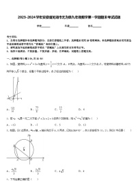 2023-2024学年安徽省芜湖市无为县九年级数学第一学期期末考试试题含答案