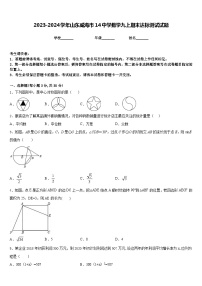 2023-2024学年山东威海市14中学数学九上期末达标测试试题含答案