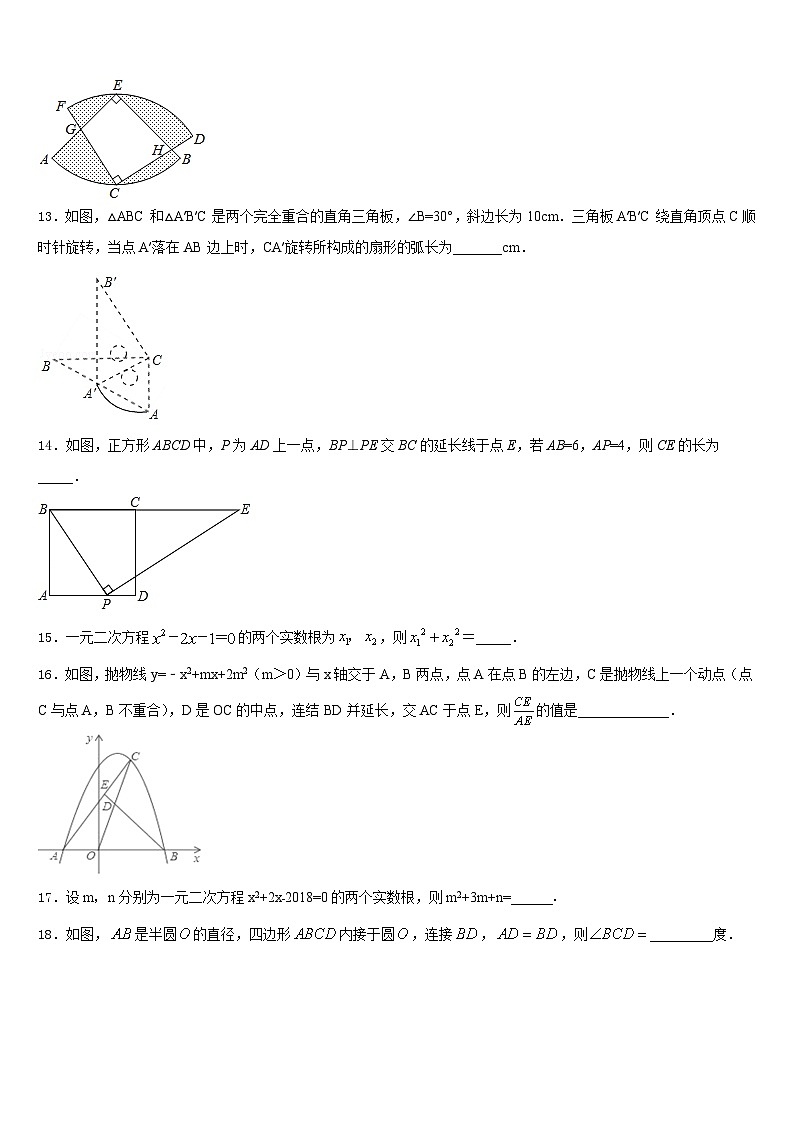 2023-2024学年宣城市重点中学九上数学期末综合测试试题含答案第3页