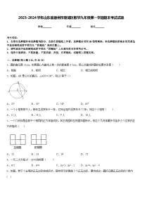 2023-2024学年山东省德州市陵城区数学九年级第一学期期末考试试题含答案