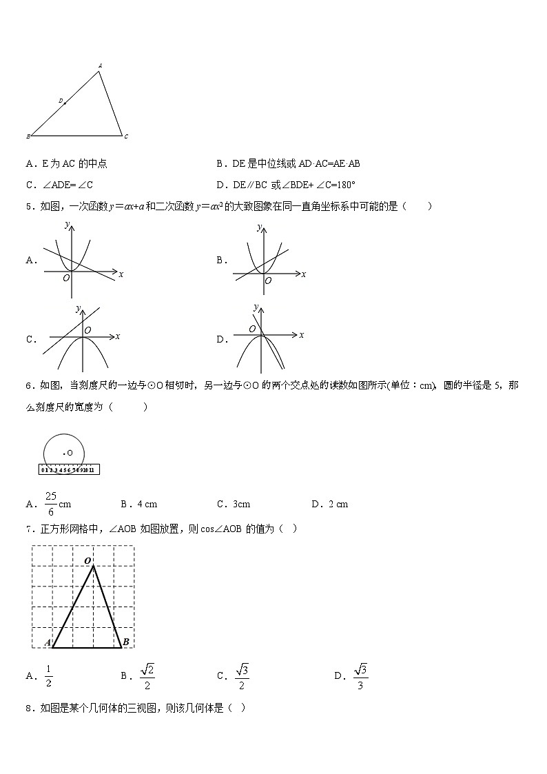 2023-2024学年山东省广饶经济开发区乐安中学九上数学期末质量检测试题含答案02