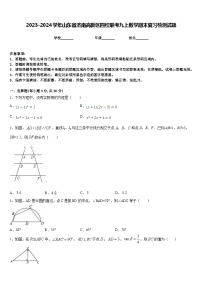 2023-2024学年山东省济南高新区四校联考九上数学期末复习检测试题含答案