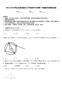 2023-2024学年山东省济南市汇才学校数学九年级第一学期期末检测模拟试题含答案