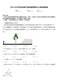 2023-2024学年山东省济宁微山县联考数学九上期末经典试题含答案