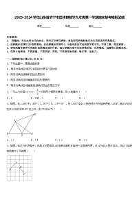 2023-2024学年山东省济宁市嘉祥县数学九年级第一学期期末联考模拟试题含答案