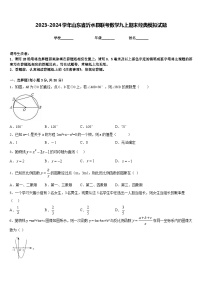 2023-2024学年山东省沂水县联考数学九上期末经典模拟试题含答案