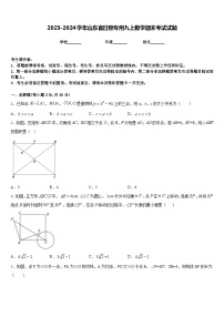 2023-2024学年山东省日照专用九上数学期末考试试题含答案