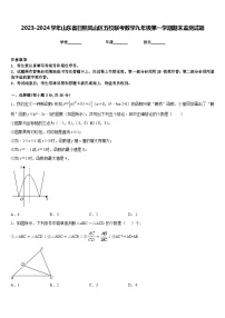 2023-2024学年山东省日照岚山区五校联考数学九年级第一学期期末监测试题含答案