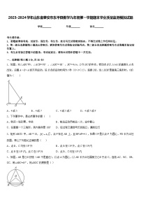 2023-2024学年山东省泰安市东平县数学九年级第一学期期末学业质量监测模拟试题含答案