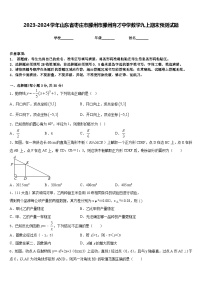 2023-2024学年山东省枣庄市滕州市滕州育才中学数学九上期末预测试题含答案