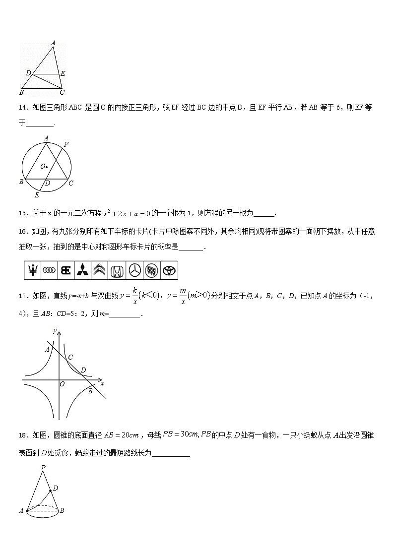 2023-2024学年山东省枣庄市滕州市滕州育才中学数学九上期末预测试题含答案03