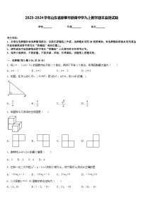 2023-2024学年山东省新泰市新甫中学九上数学期末监测试题含答案