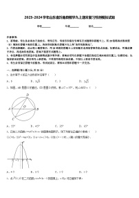 2023-2024学年山东省沂南县数学九上期末复习检测模拟试题含答案