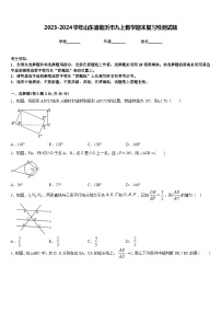 2023-2024学年山东省临沂市九上数学期末复习检测试题含答案