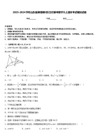 2023-2024学年山东省淄博周村区五校联考数学九上期末考试模拟试题含答案