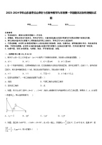 2023-2024学年山东省枣庄山亭区七校联考数学九年级第一学期期末达标检测模拟试题含答案