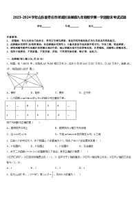 2023-2024学年山东省枣庄市峄城区底阁镇九年级数学第一学期期末考试试题含答案