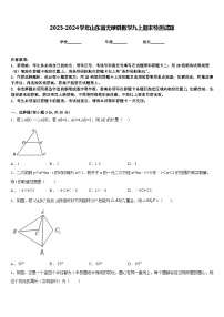 2023-2024学年山东省无棣县数学九上期末检测试题含答案