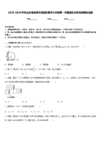 2023-2024学年山东省滨州市滨城区数学九年级第一学期期末达标检测模拟试题含答案