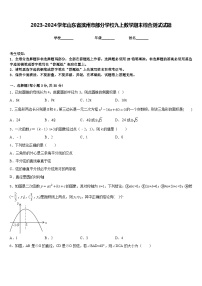 2023-2024学年山东省滨州市部分学校九上数学期末综合测试试题含答案