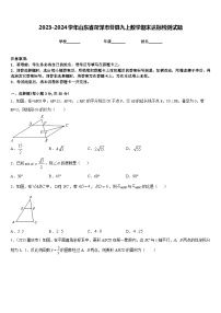 2023-2024学年山东省菏泽市曹县九上数学期末达标检测试题含答案