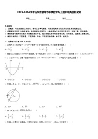 2023-2024学年山东省聊城市莘县数学九上期末经典模拟试题含答案