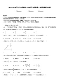 2023-2024学年山东省青岛39中数学九年级第一学期期末监测试题含答案