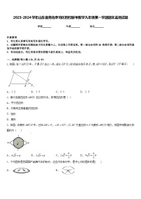 2023-2024学年山东省青岛李沧区四校联考数学九年级第一学期期末监测试题含答案