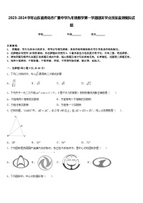 2023-2024学年山东省青岛市广雅中学九年级数学第一学期期末学业质量监测模拟试题含答案