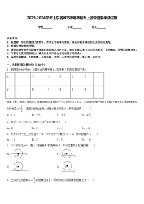 2023-2024学年山东省潍坊市寒亭区九上数学期末考试试题含答案