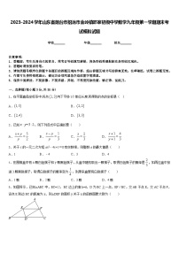 2023-2024学年山东省烟台市招远市金岭镇邵家初级中学数学九年级第一学期期末考试模拟试题含答案