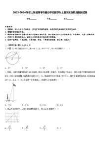 2023-2024学年山东省邹平市部分学校数学九上期末达标检测模拟试题含答案