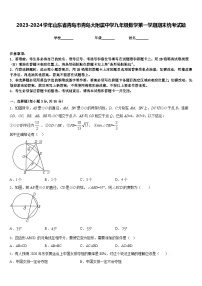 2023-2024学年山东省青岛市青岛大附属中学九年级数学第一学期期末统考试题含答案