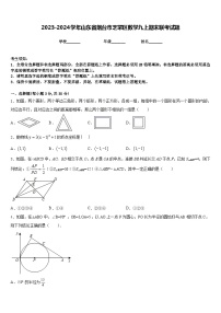 2023-2024学年山东省烟台市芝罘区数学九上期末联考试题含答案