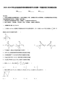 2023-2024学年山东省诸城市桃林镇桃林数学九年级第一学期期末复习检测模拟试题含答案