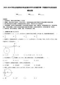 2023-2024学年山东省青岛市崂山区部分中学九年级数学第一学期期末学业质量监测模拟试题含答案