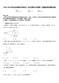 2023-2024学年山东省潍坊市寿光市、安丘市数学九年级第一学期期末联考模拟试题含答案