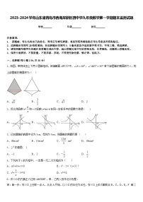 2023-2024学年山东省青岛市西海岸新区四中学九年级数学第一学期期末监测试题含答案