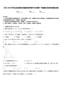 2023-2024学年山东省青岛市集团校联考数学九年级第一学期期末质量检测模拟试题含答案