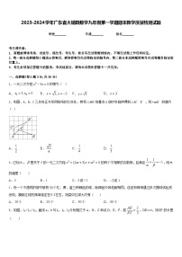 2023-2024学年广东省大埔县数学九年级第一学期期末教学质量检测试题含答案